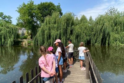 Field Trip to Eko Park Belgrade