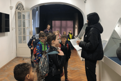 Sremska Mitrovica trip